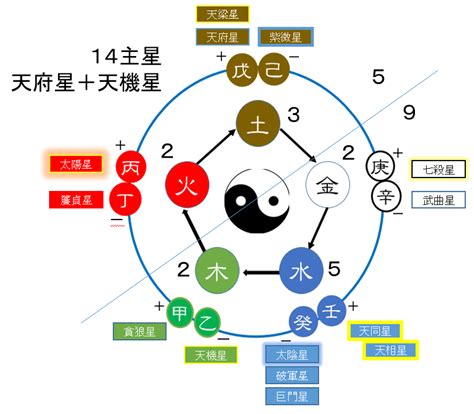 14主星 五行